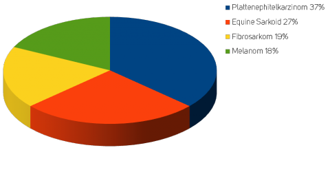 haeufigkeiten_tumor_pferde_kessler.png